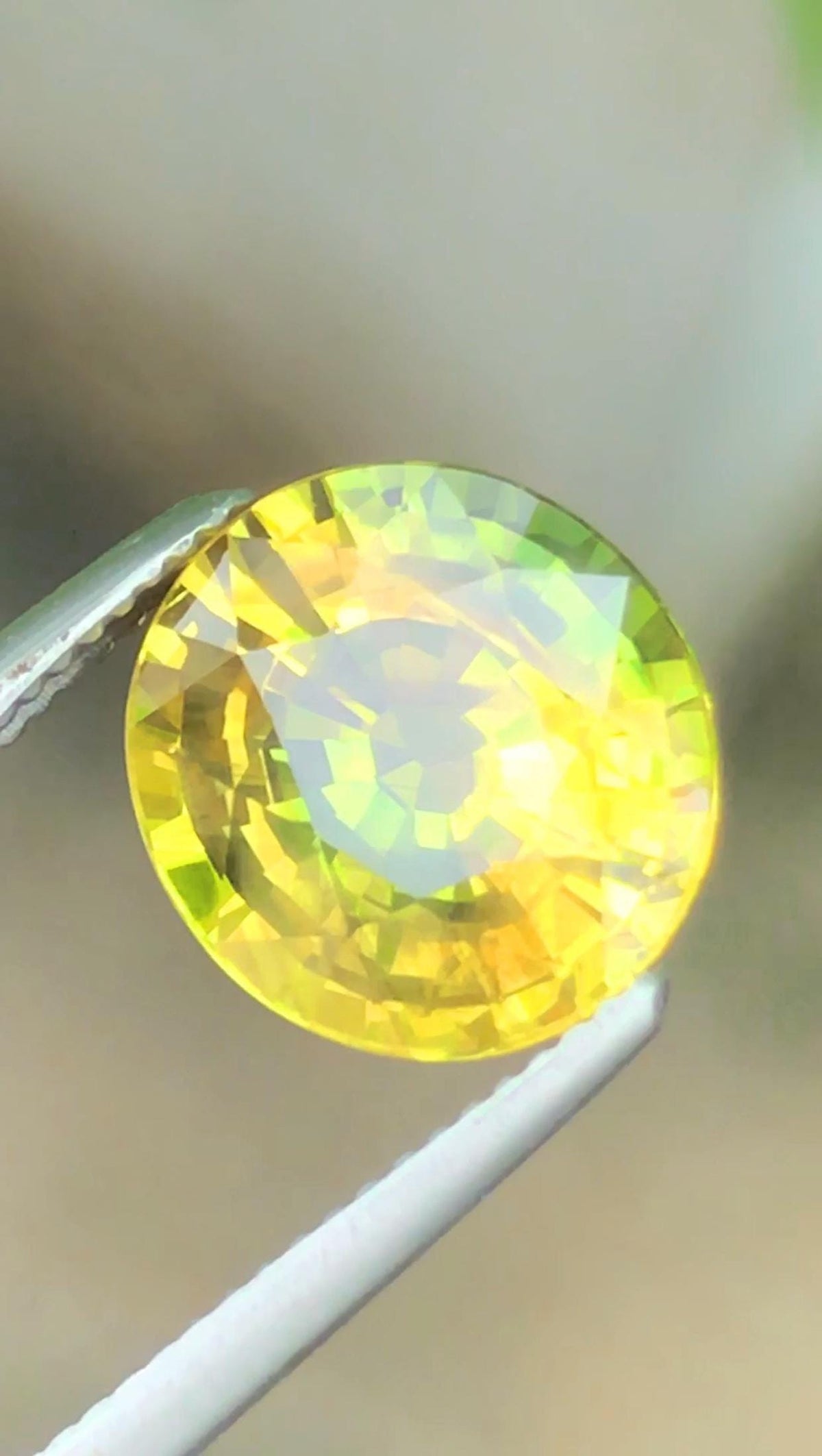 Certified Bi-Color NO HEAT Sapphire 3.17 Cts Greenish/Yellow Natural Sapphire