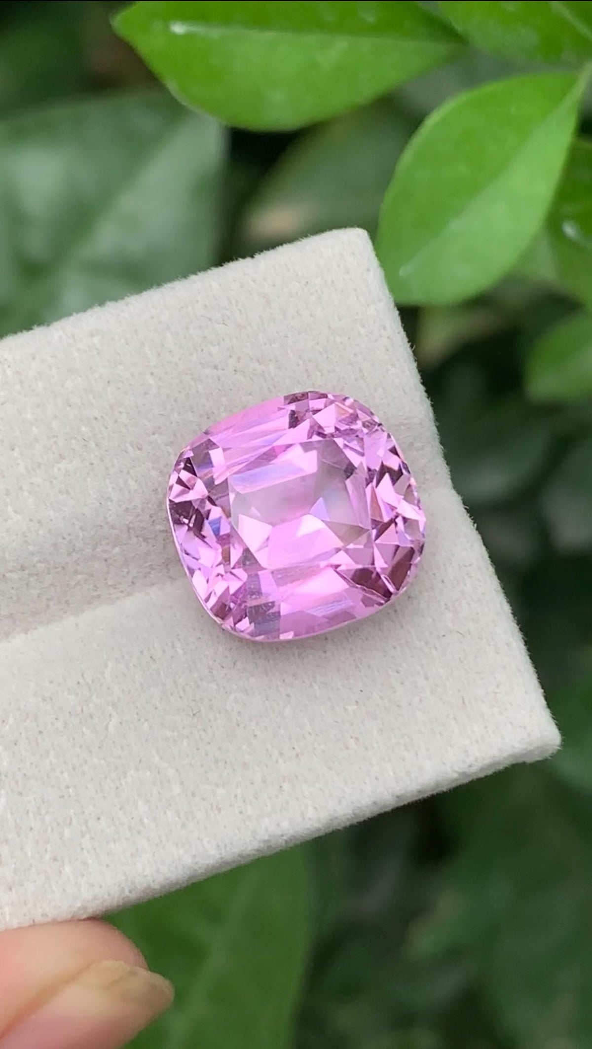 Certified Kunzite 12.80 ct Cushion Cut Pink — Afghanistan