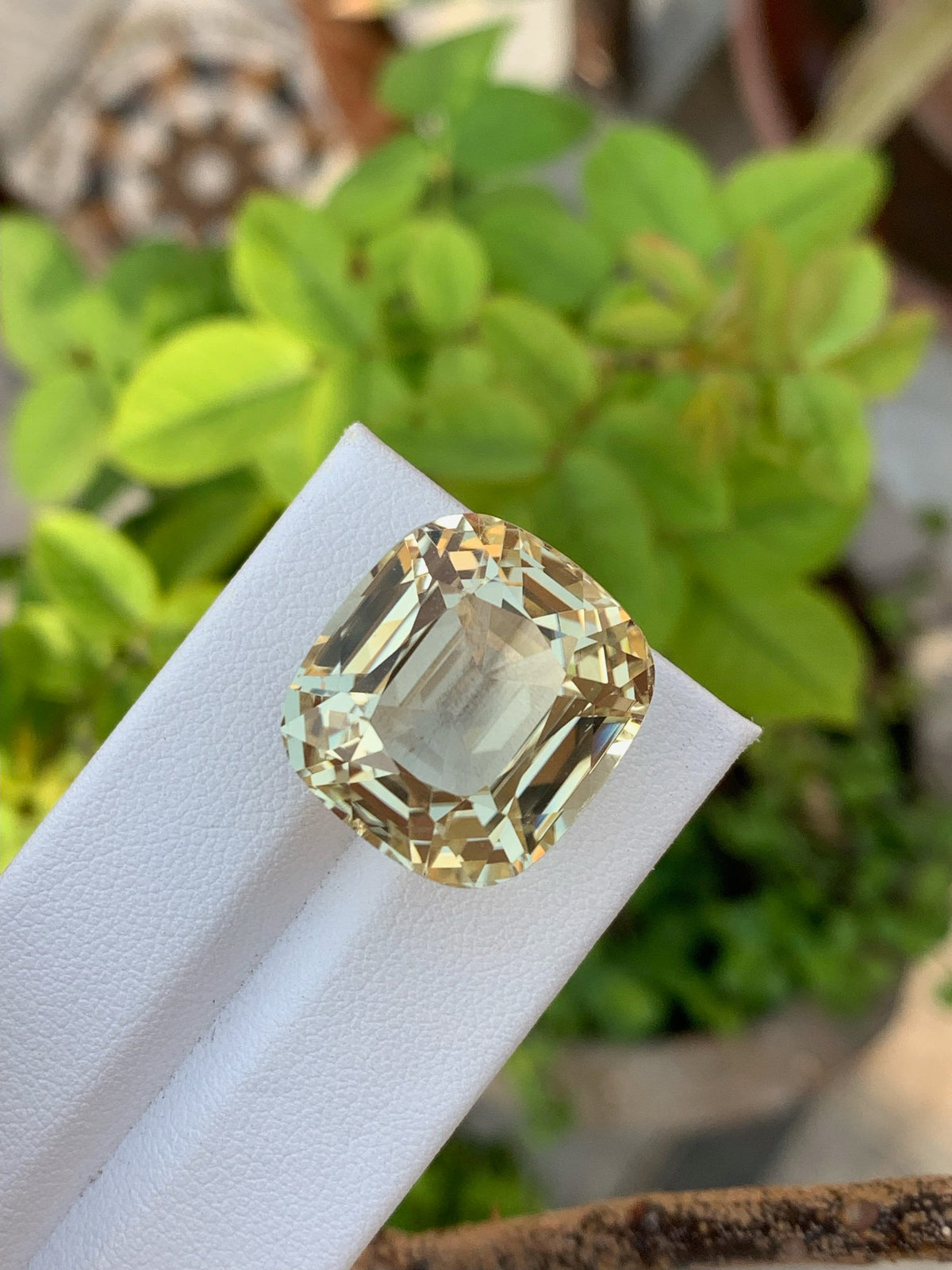 Golden Peach Triphane Var Kunzite Loose Gemstone Cushion Cut ~ 51.65 Carats