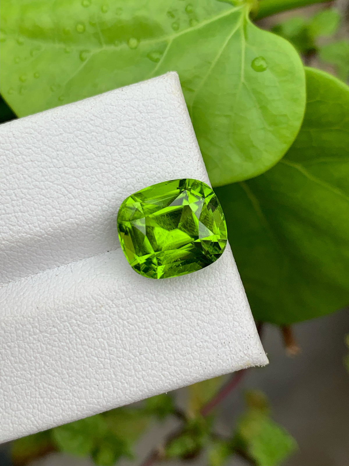 Lime Green Peridot Gemstone: 6.40 CT Cushion Cut, Eye Clean