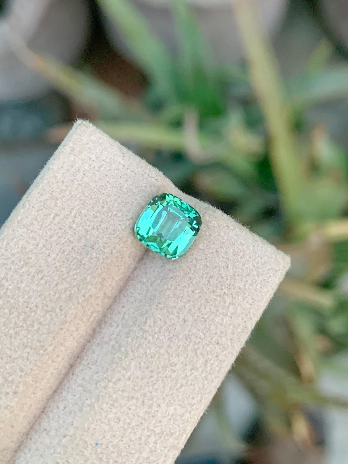 2.25 CT Blue Green Tourmaline Gemstone: Cushion Cut, Afghanistan