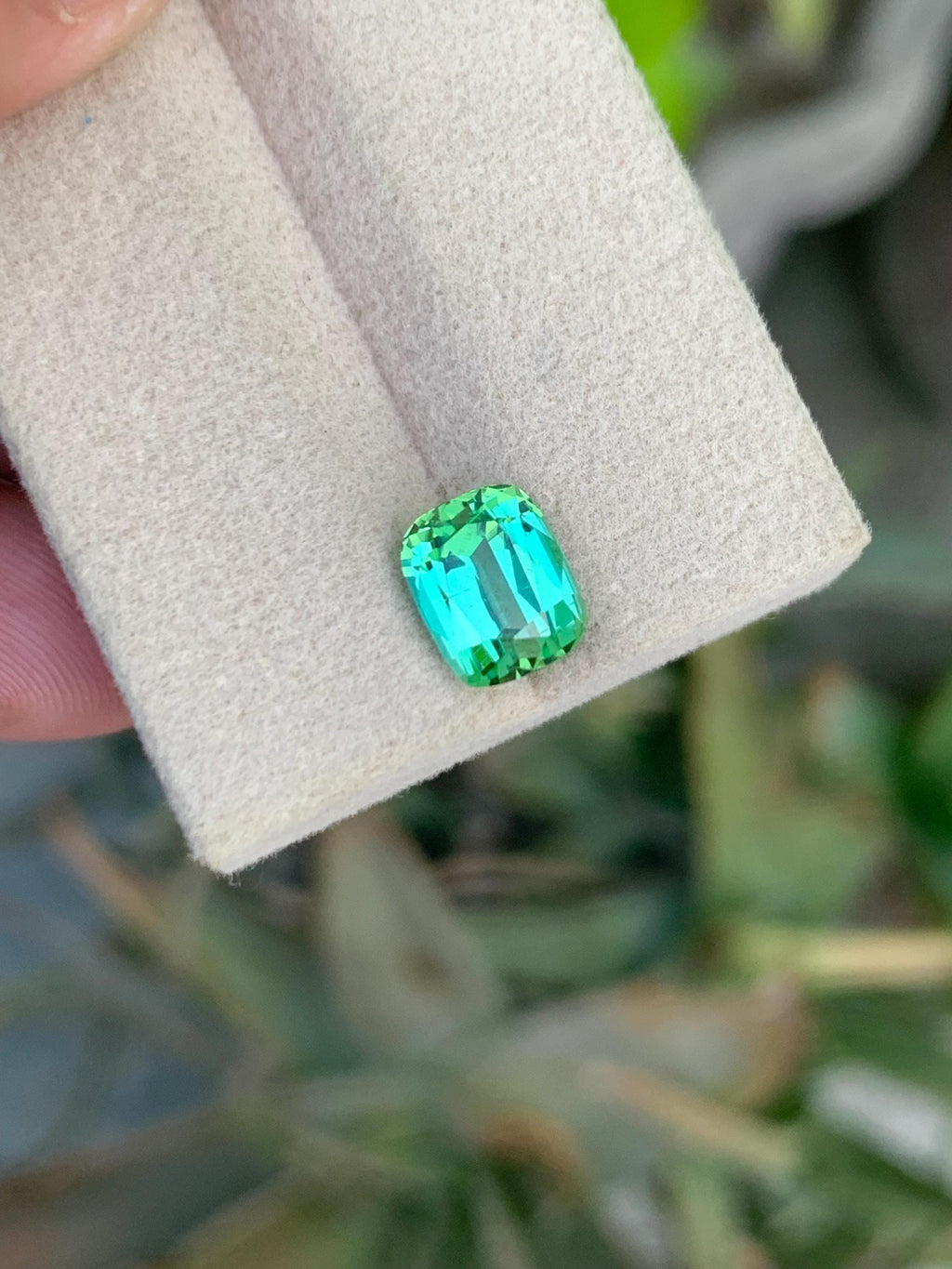 Bluish Green Tourmaline Gemstone: 2.50 CT Cushion Cut, Afghanistan