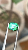 Lagoon Tourmaline 1.35ct Cushion Cut Loose Gemstone from Afghanistan