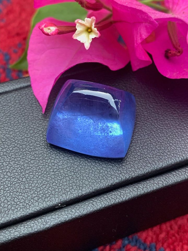 Santa Maria Aquamarine Cabochon: 33.25 Carat Sugarloaf Gem