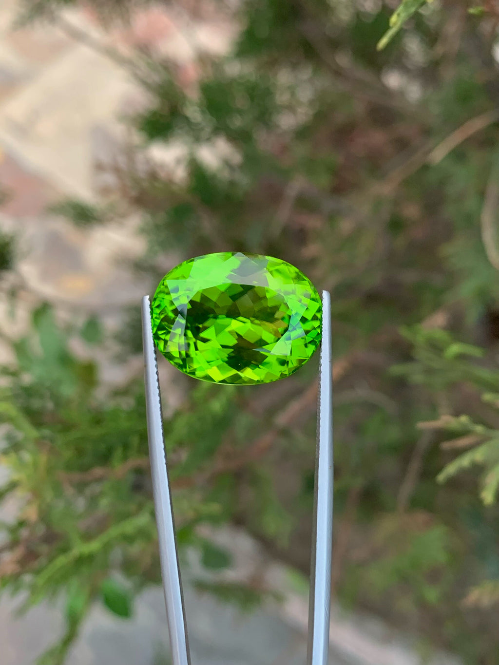 Lime Green Peridot Gemstone: Natural Oval August Birthstone (26.90 Carat)