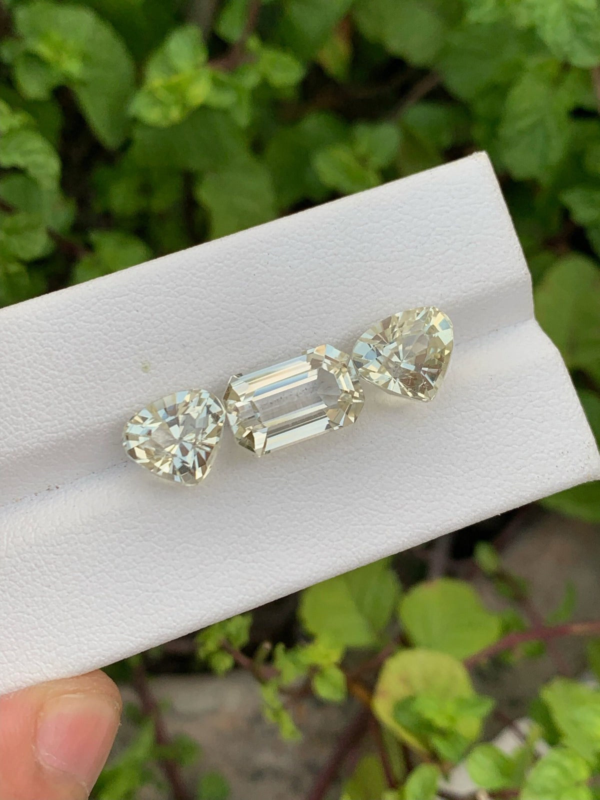 Natural yellow Kunzite set Gemstones - 15.05 Carats