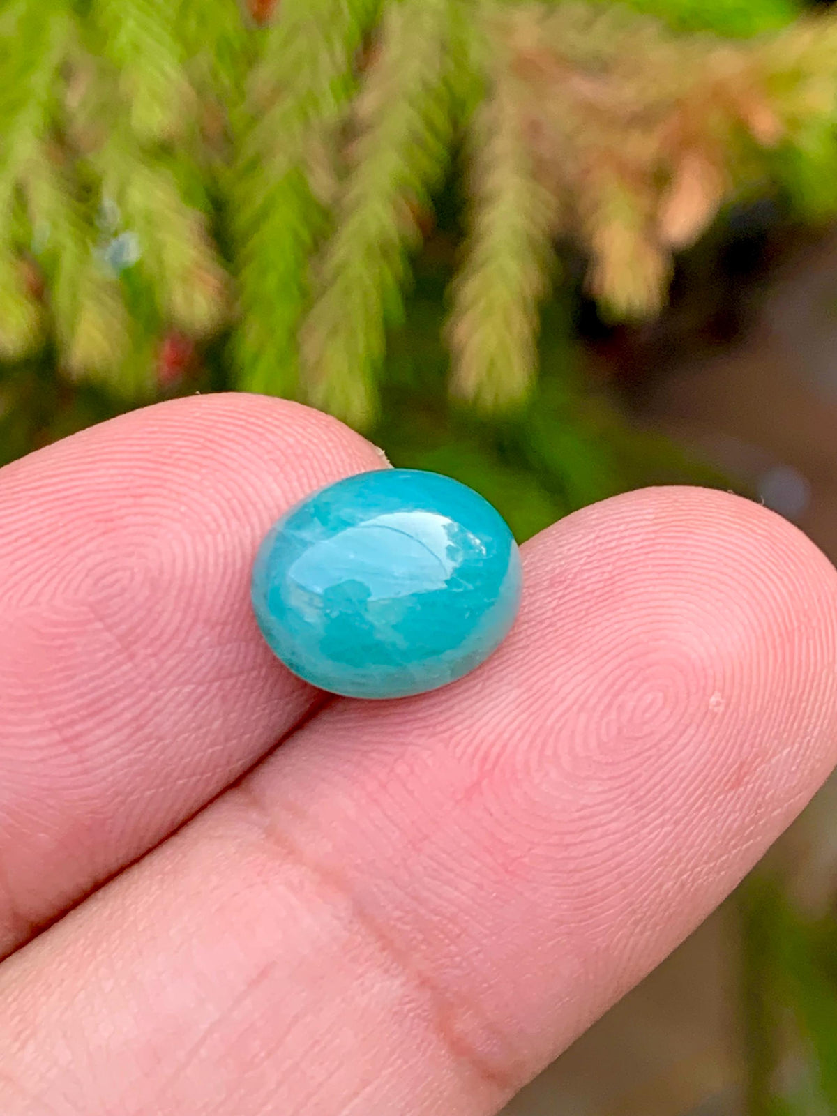 Grandidierite Gemstone Cabochon: Bluish Green, Rare Madagascar Stone, 5.25 Carats