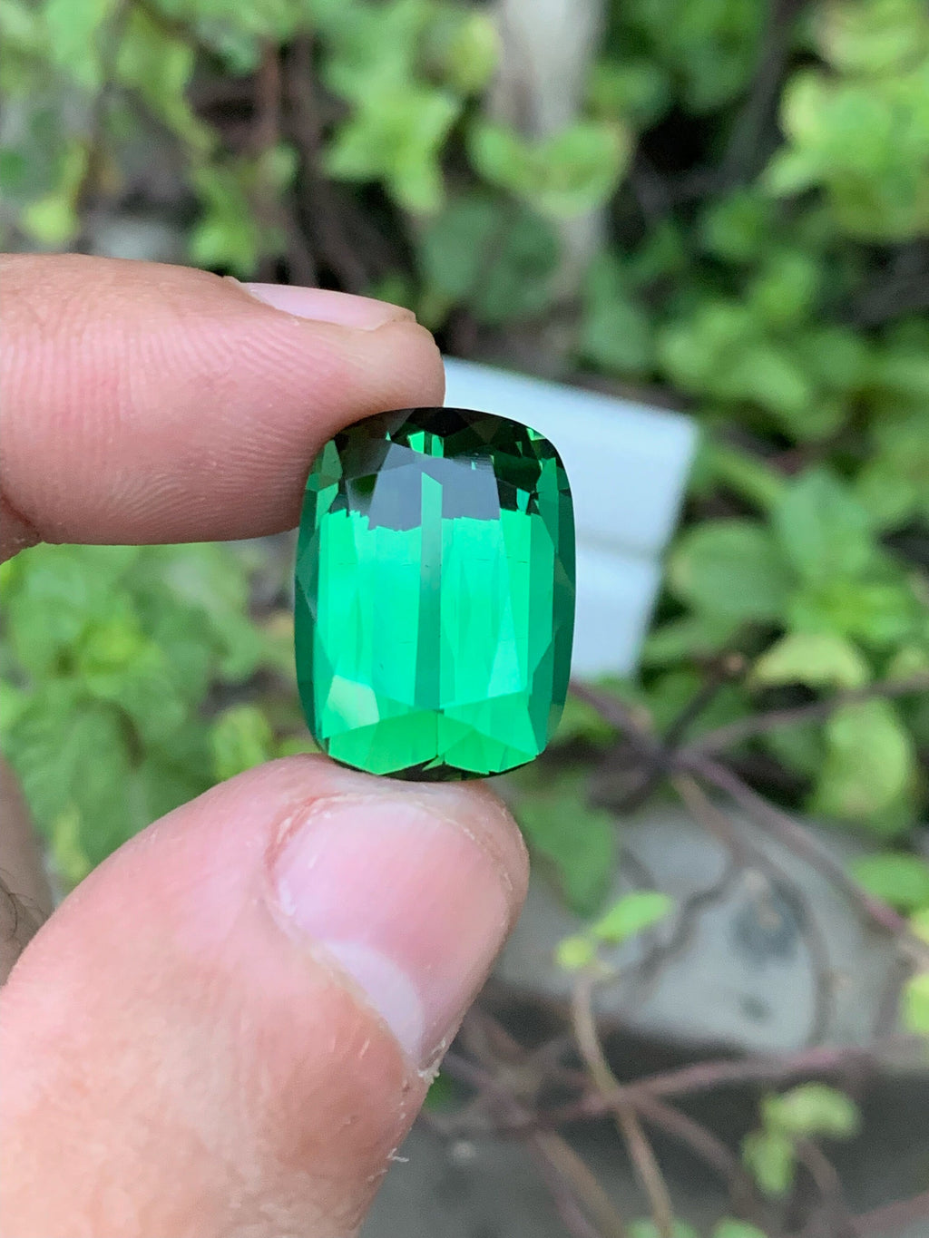 Green Tourmaline Gemstone: 17.75CT Faceted Cushion Cut, Afghanistan Origin