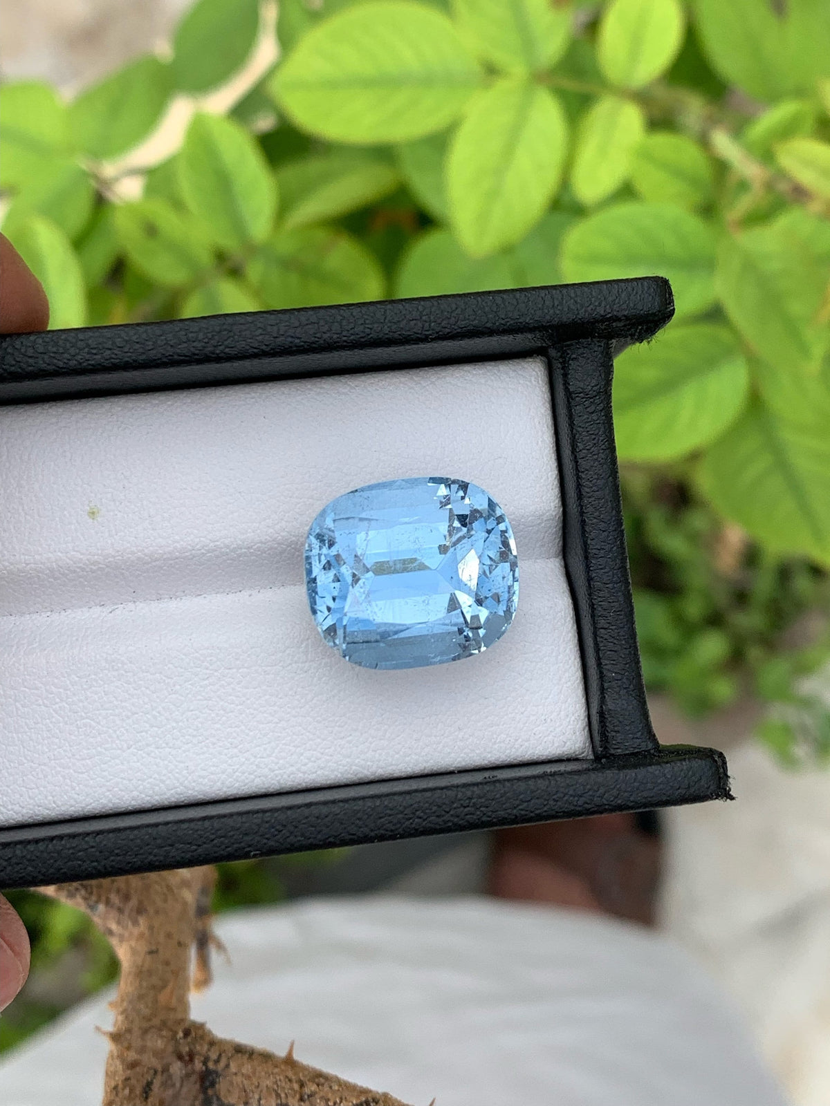 Santa Maria Aquamarine Beryl Gemstone: Pastel Blue Fancy Cut, 18.25 Carats