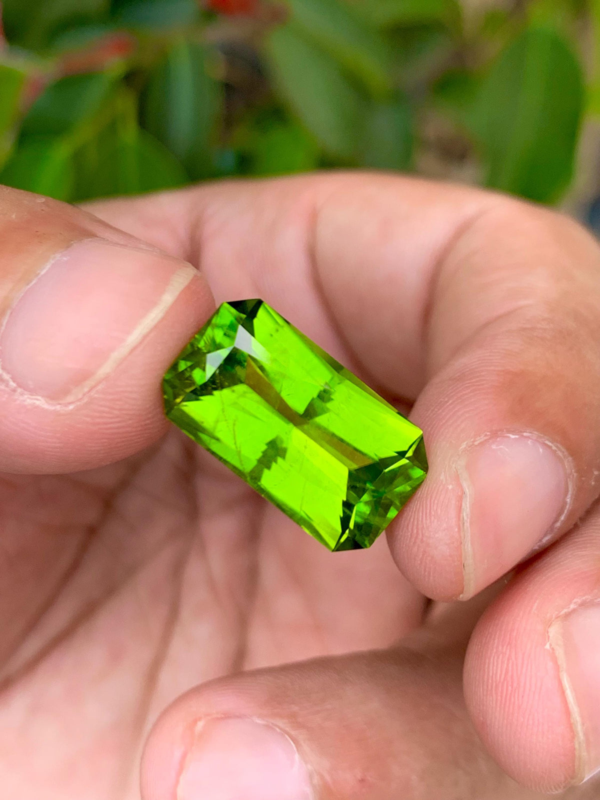 Peridot 11.70ct Fancy Cut Green Gemstone 17.7x10mm