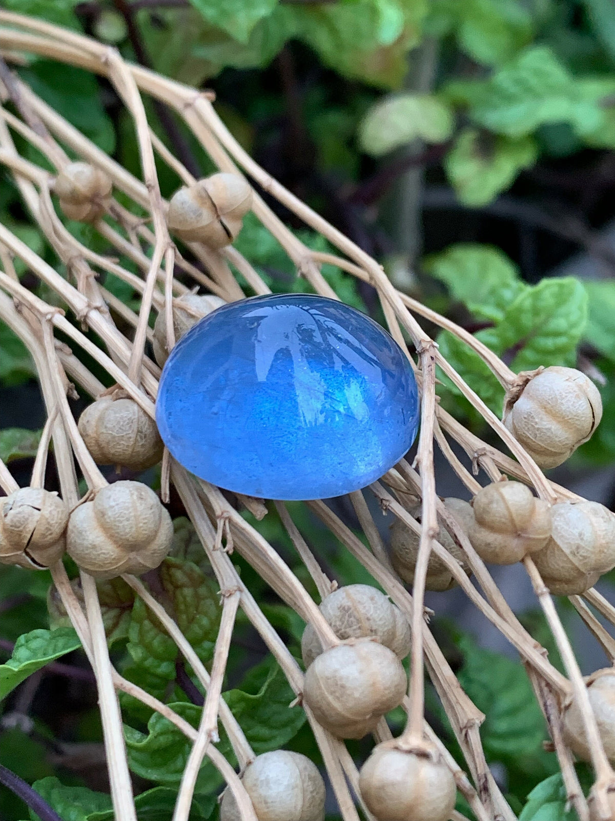 Santa Maria Blue Aquamarine Cabochon: Natural Gemstone, 23.10 CT