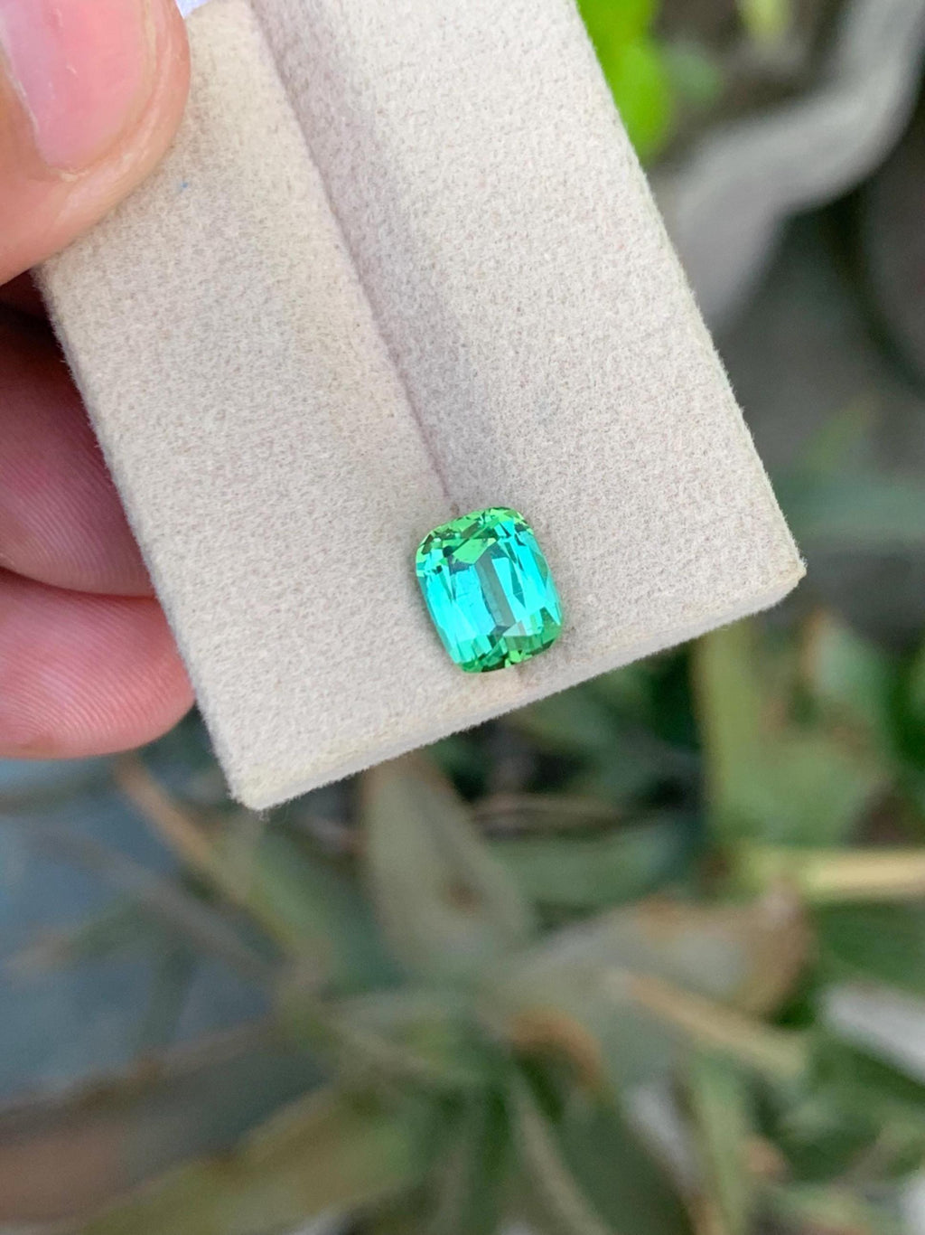 Bluish Green Tourmaline Gemstone: 2.50 CT Cushion Cut, Afghanistan