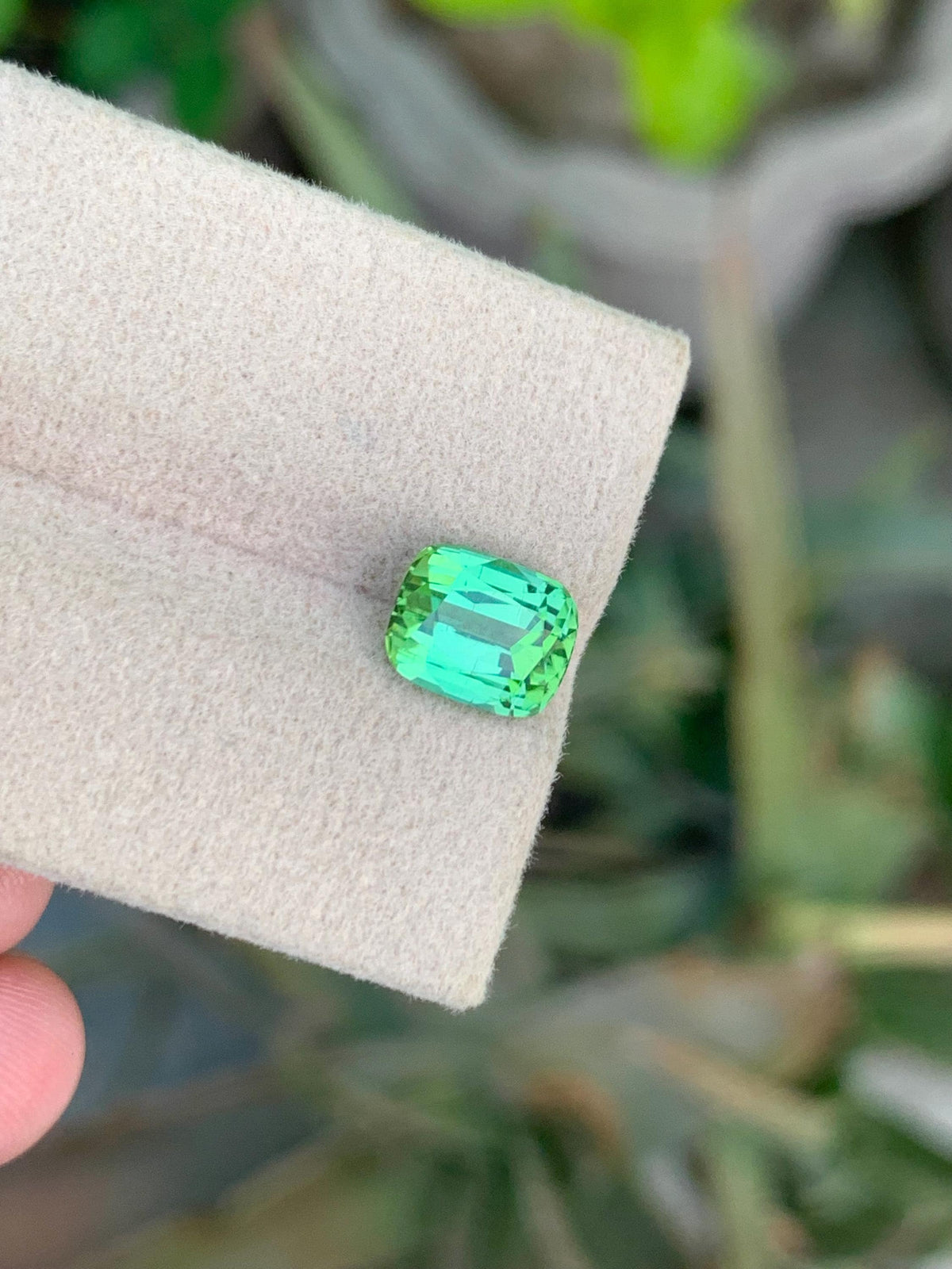 Bluish Green Tourmaline Gemstone: 2.50 CT Cushion Cut, Afghanistan