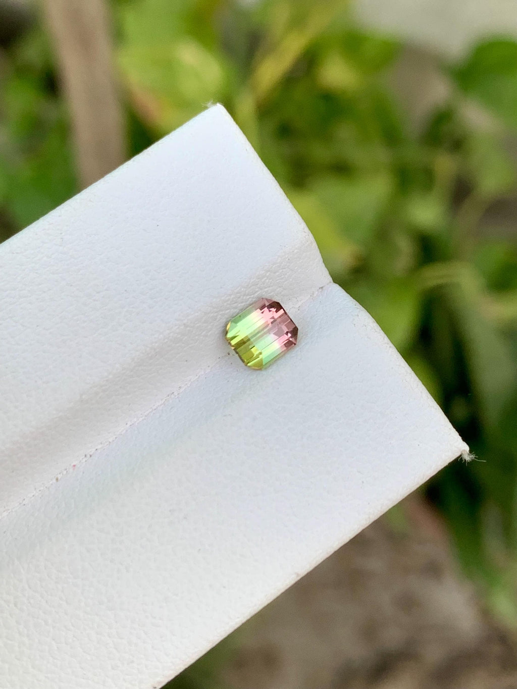 Watermelon Tourmaline Gemstone: Faceted Bi-Color Oval, 0.85 CT