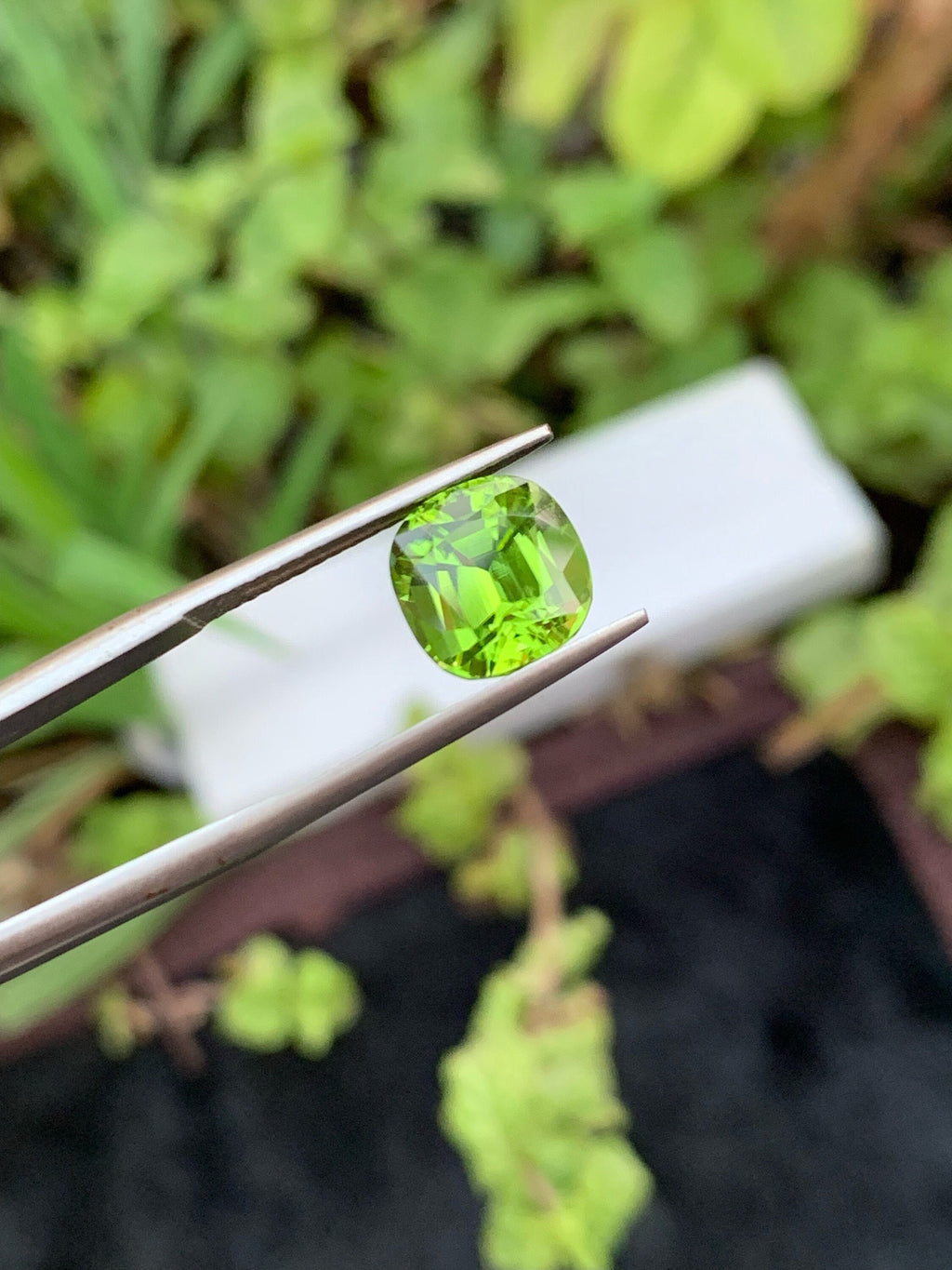 Lime Green Peridot Gemstone: Cushion Cut Faceted Stone, 3.25 CT