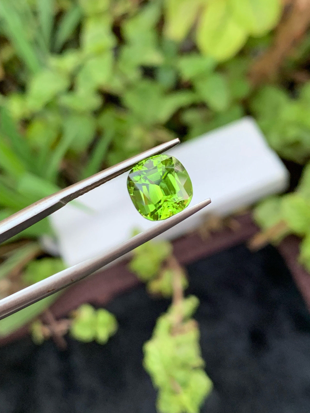 Lime Green Peridot Gemstone: Cushion Cut Faceted Stone, 3.25 CT