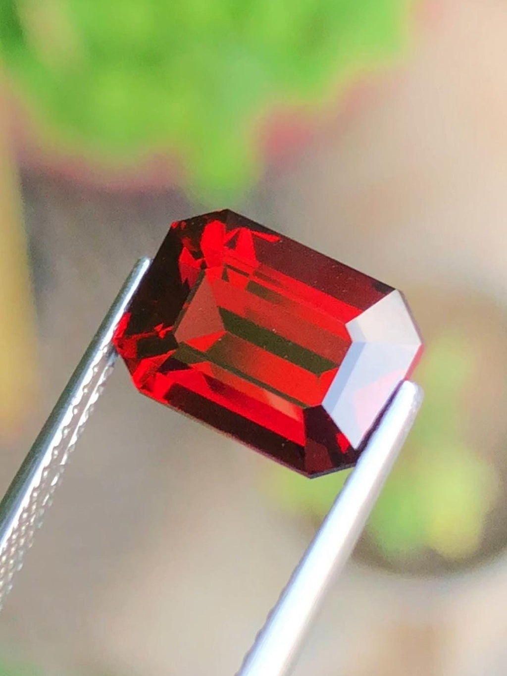 Almandine Garnet 6.06ct Emerald Octagonal Cut – Tanzania Certified