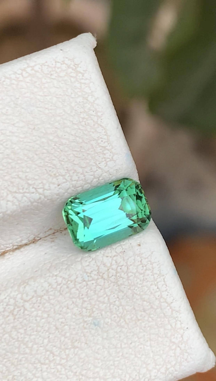 Blue Green Tourmaline 1.60ct Cushion Cut Loose Gemstone Afghanistan