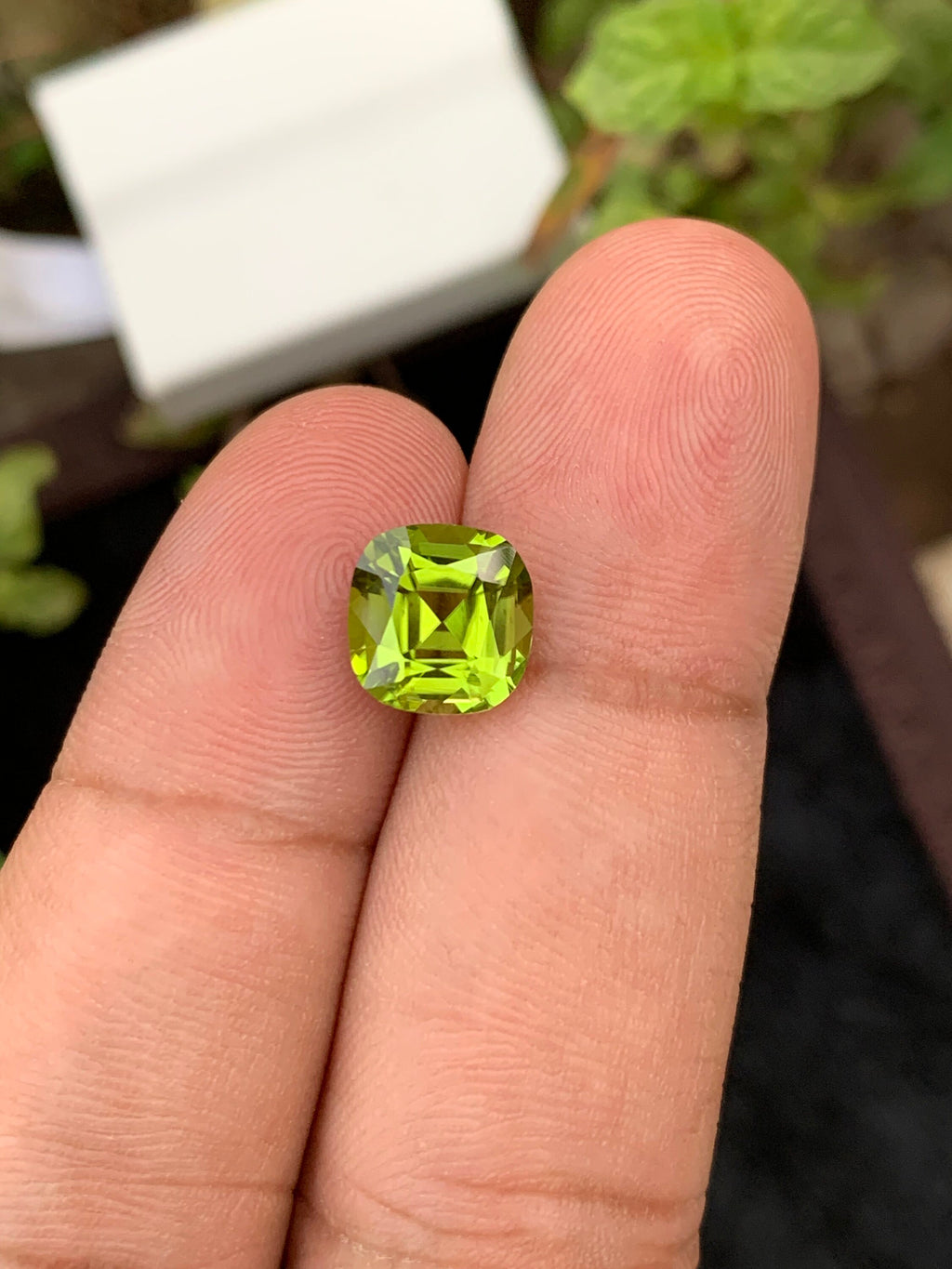 Olive Peridot Gemstone: 2.85 Carat Cushion Cut, VVS Clarity