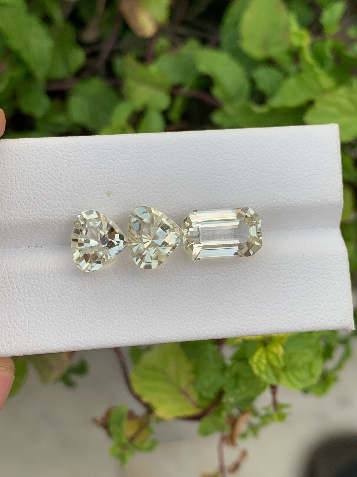 Natural yellow Kunzite set Gemstones - 15.05 Carats