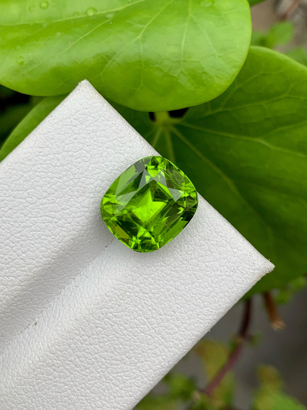 Lime Green Peridot Gemstone: 6.40 CT Cushion Cut, Eye Clean