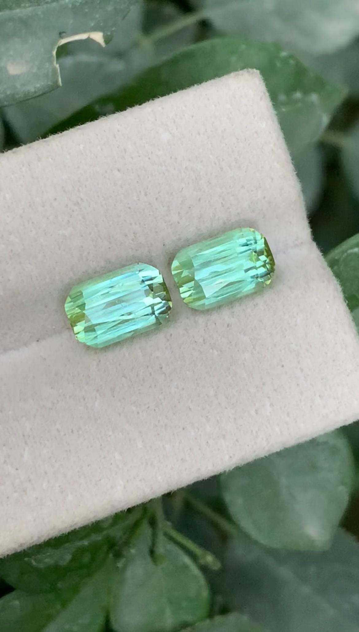 Bluish Green Tourmaline Pair 4.20ct – Cushion Cut Matching Gems from Afghanistan