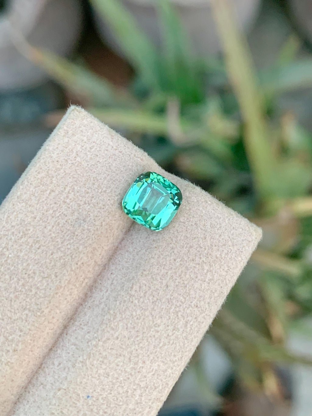 2.25 CT Blue Green Tourmaline Gemstone: Cushion Cut, Afghanistan