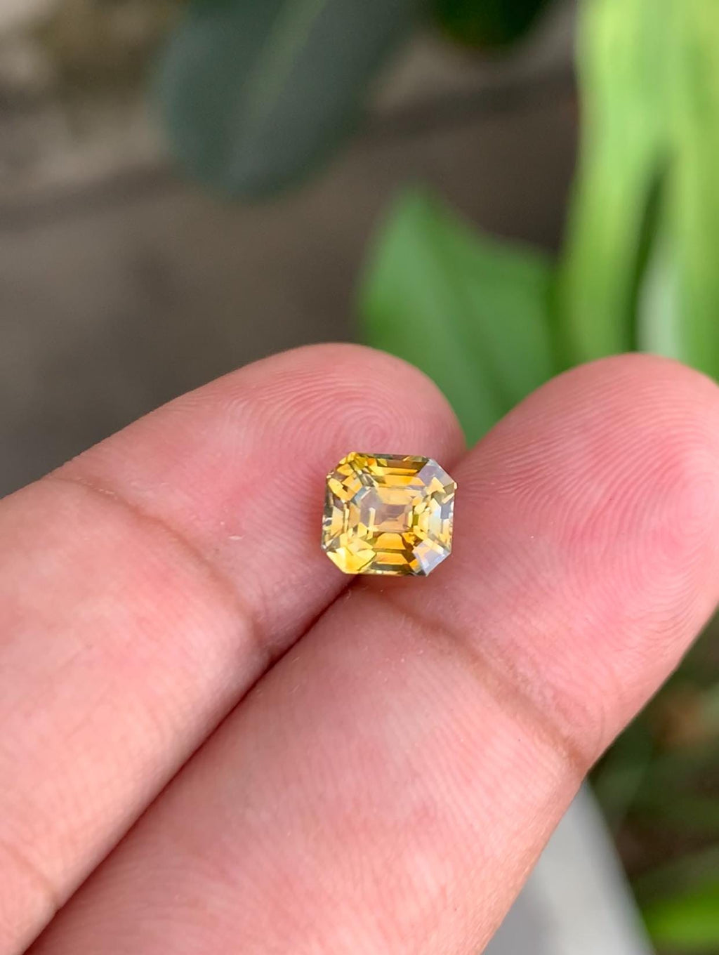 2.12ct Faceted Yellow Sapphire Gemstone: Natural Untreated Corundum