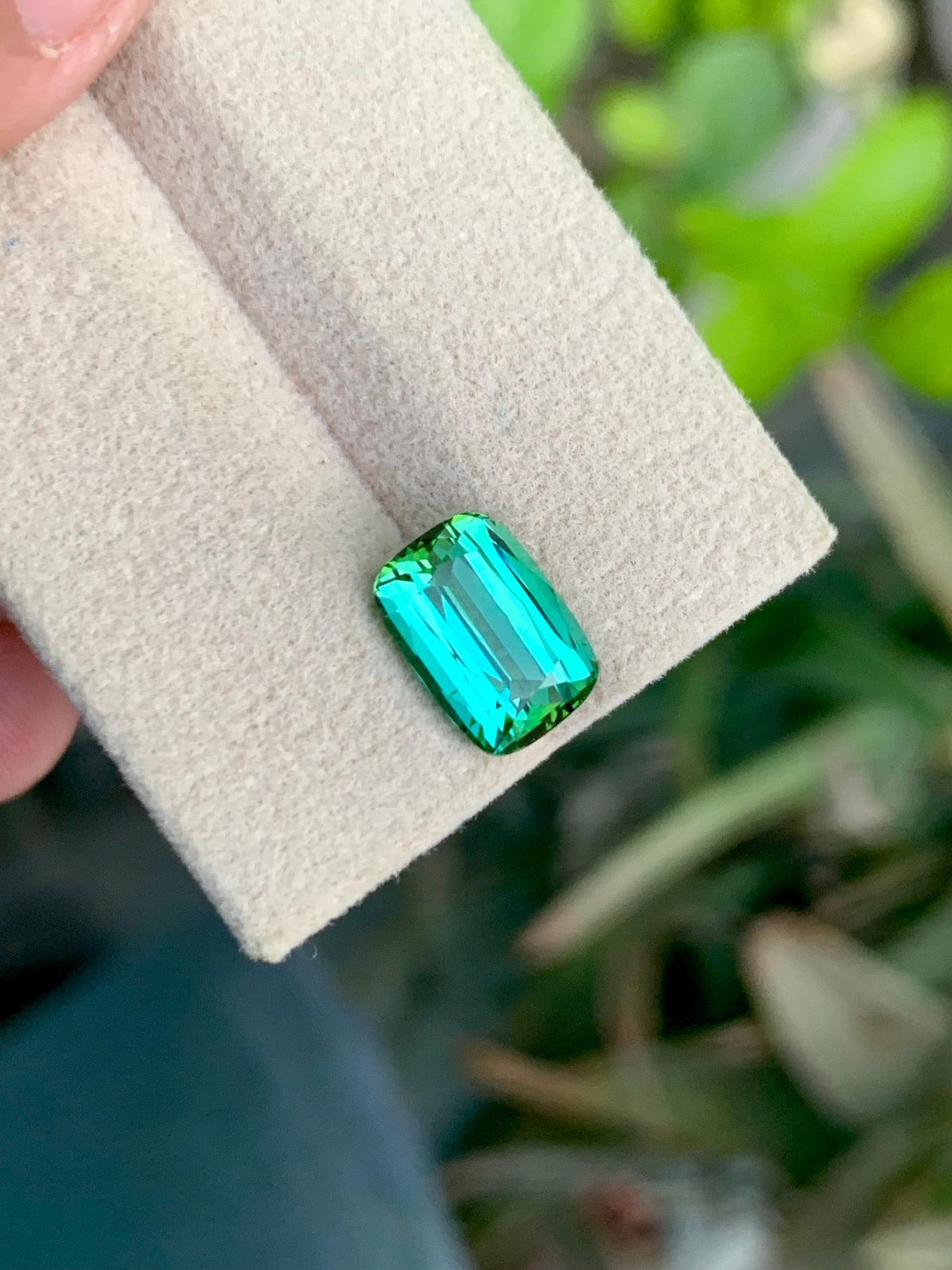 3.35 CT Blue Green Tourmaline Gemstone: Cushion Cut, Jaba Mine