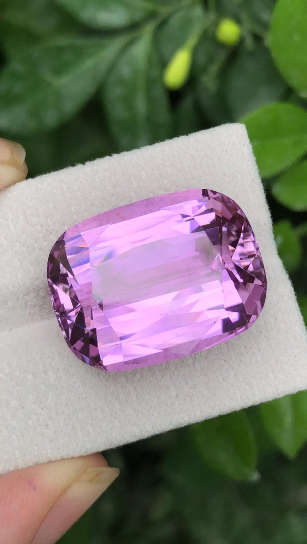 Certified Pink Kunzite 38.10ct Cushion Cut Gemstone from Afghanistan