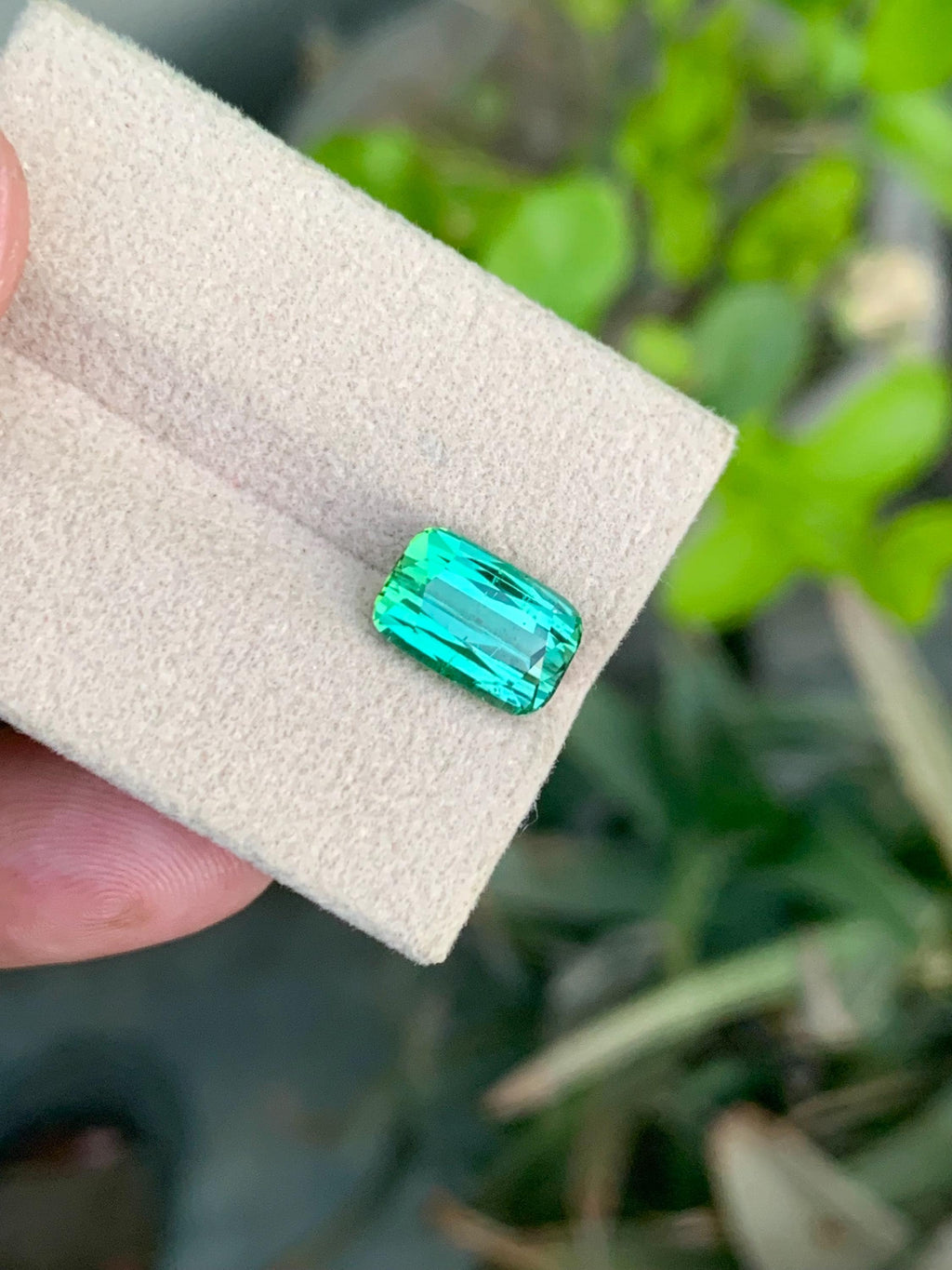 Green Tourmaline Gemstone: 3.70CT Cushion Cut, Afghanistan Origin