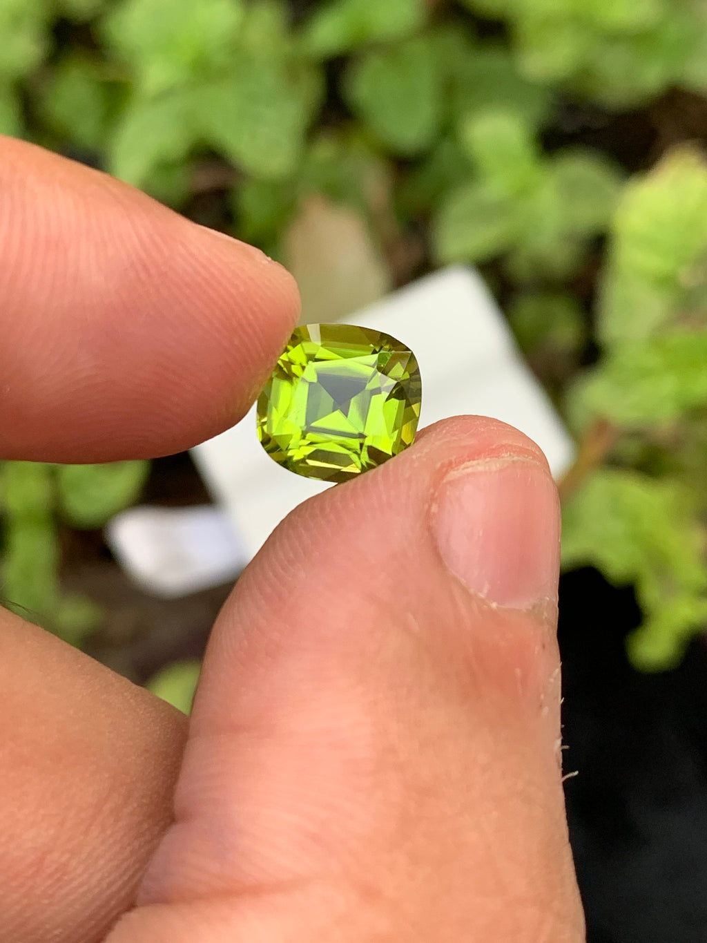 Olive Peridot Gemstone: 2.85 Carat Cushion Cut, VVS Clarity