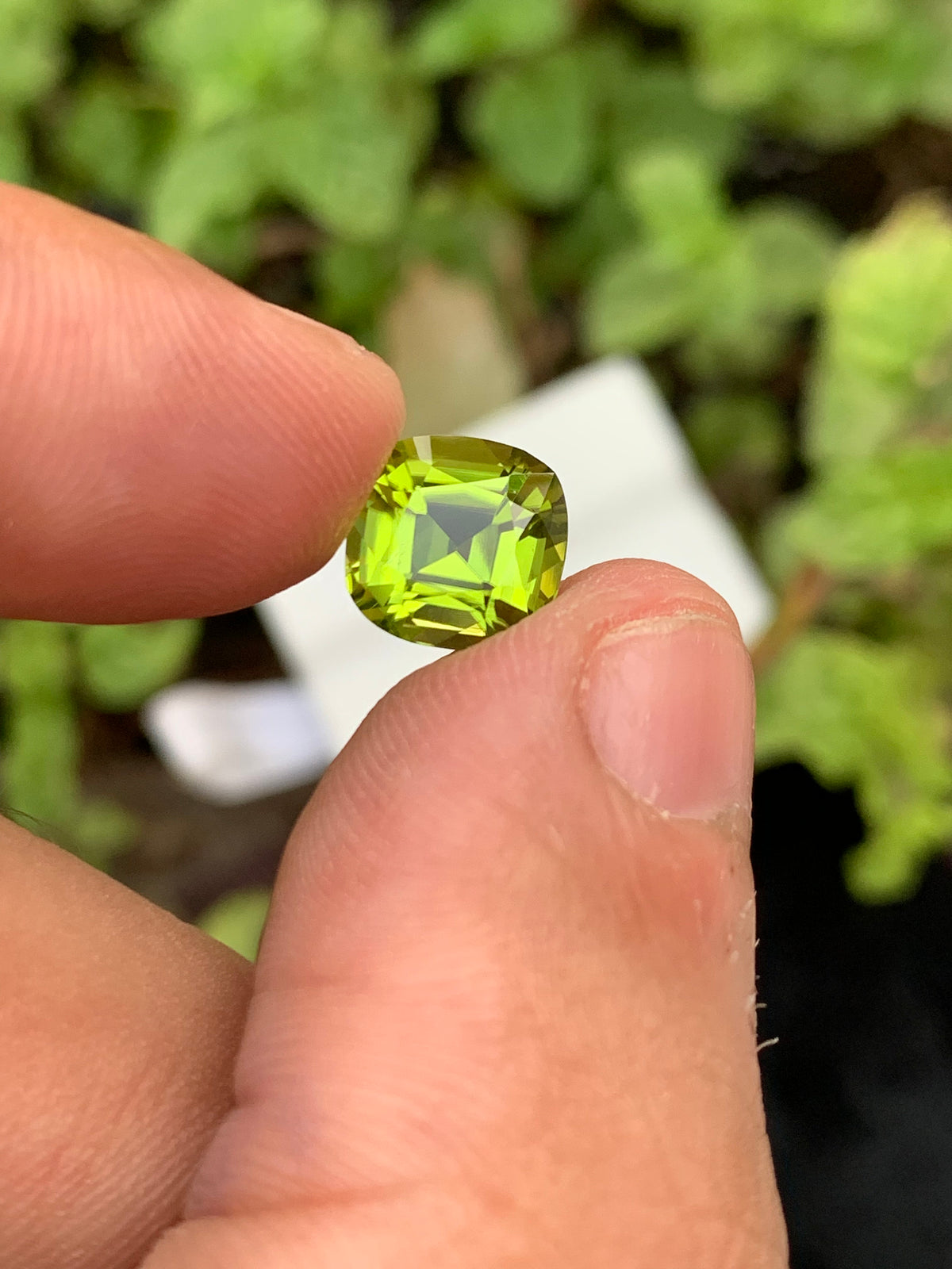 Olive Peridot Gemstone: 2.85 Carat Cushion Cut, VVS Clarity