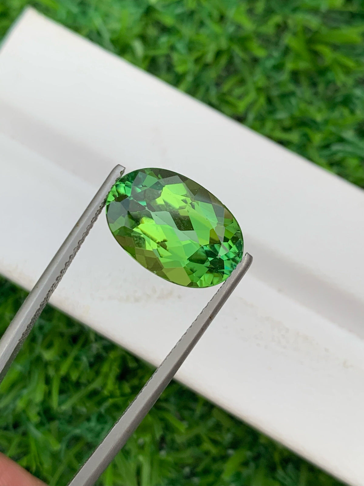 Vibrant Green Tourmaline Gemstone: Oval Cut, 6.60 CT, VVS Clarity