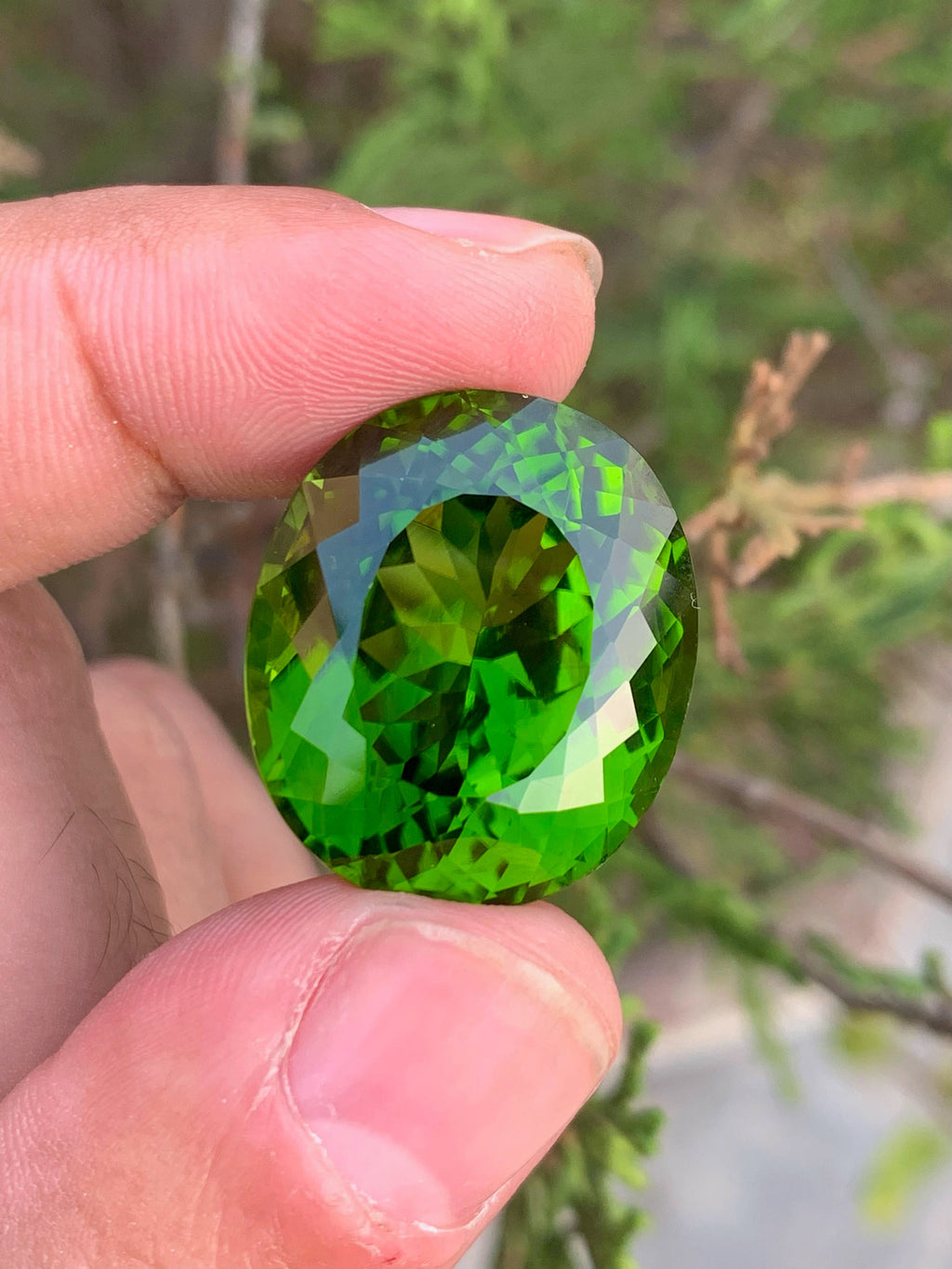 Lime Green Peridot Gemstone: 52.70 Carat Oval August Birthstone