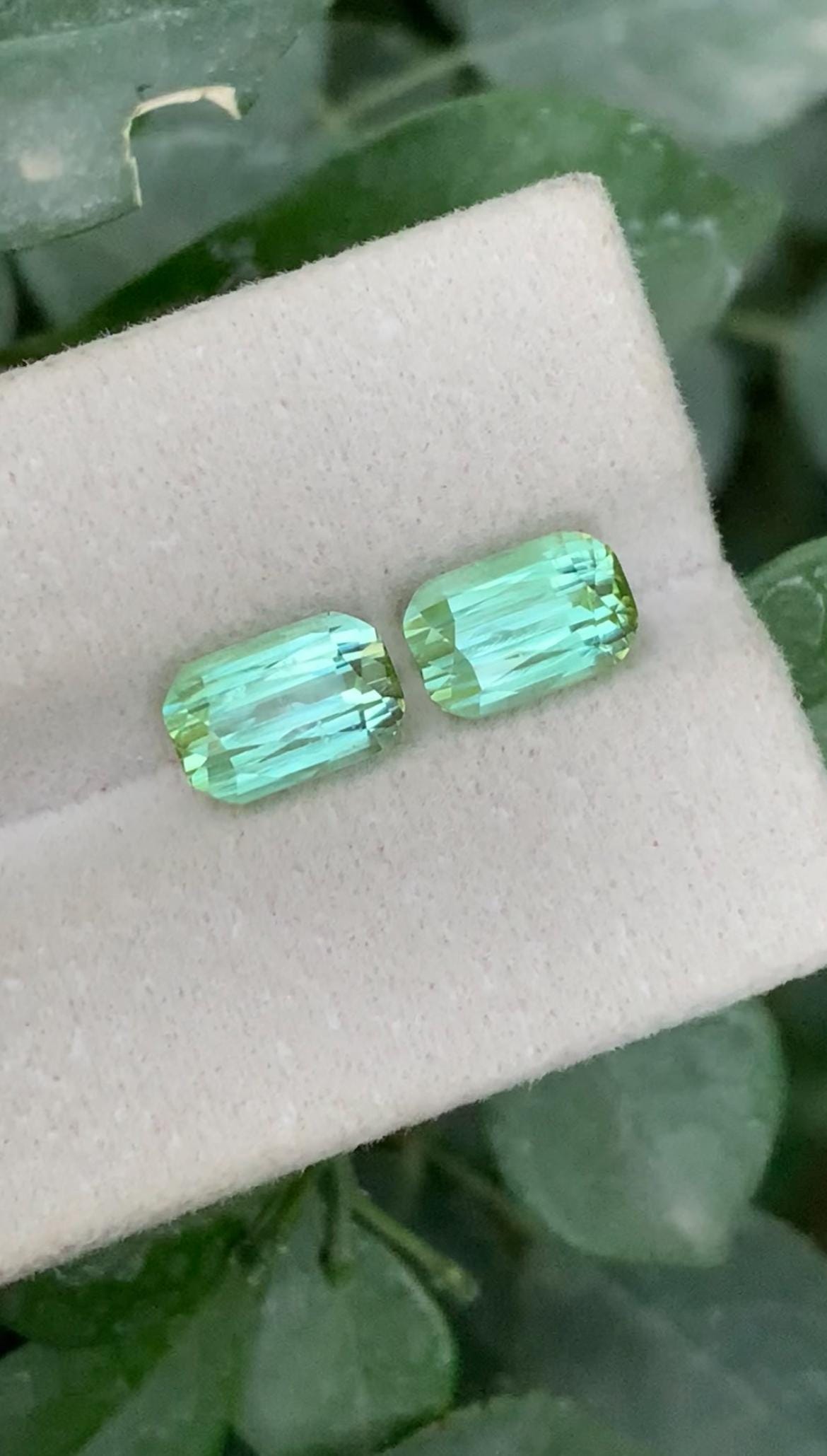 Bluish Green Tourmaline Pair 4.20ct – Cushion Cut Matching Gems from Afghanistan