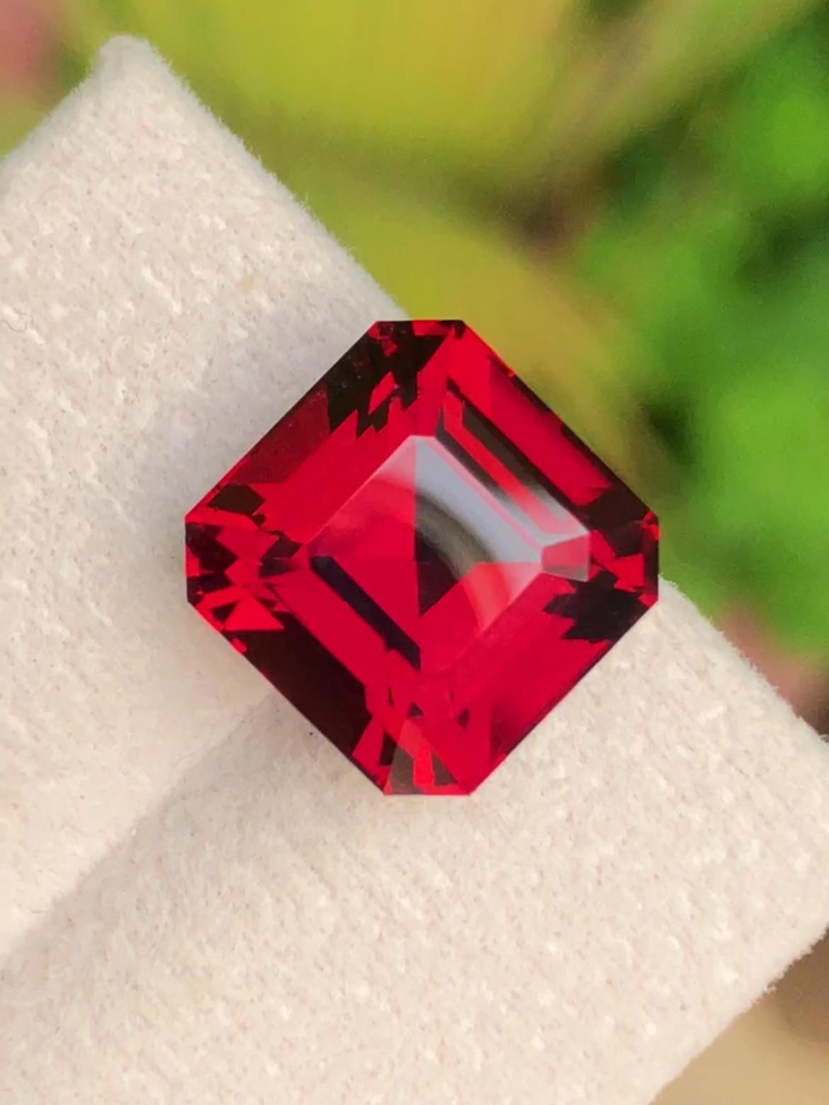 Rhodolite Purple Garnet 10.63ct Asscher Octagonal Cut – Tanzania Certified
