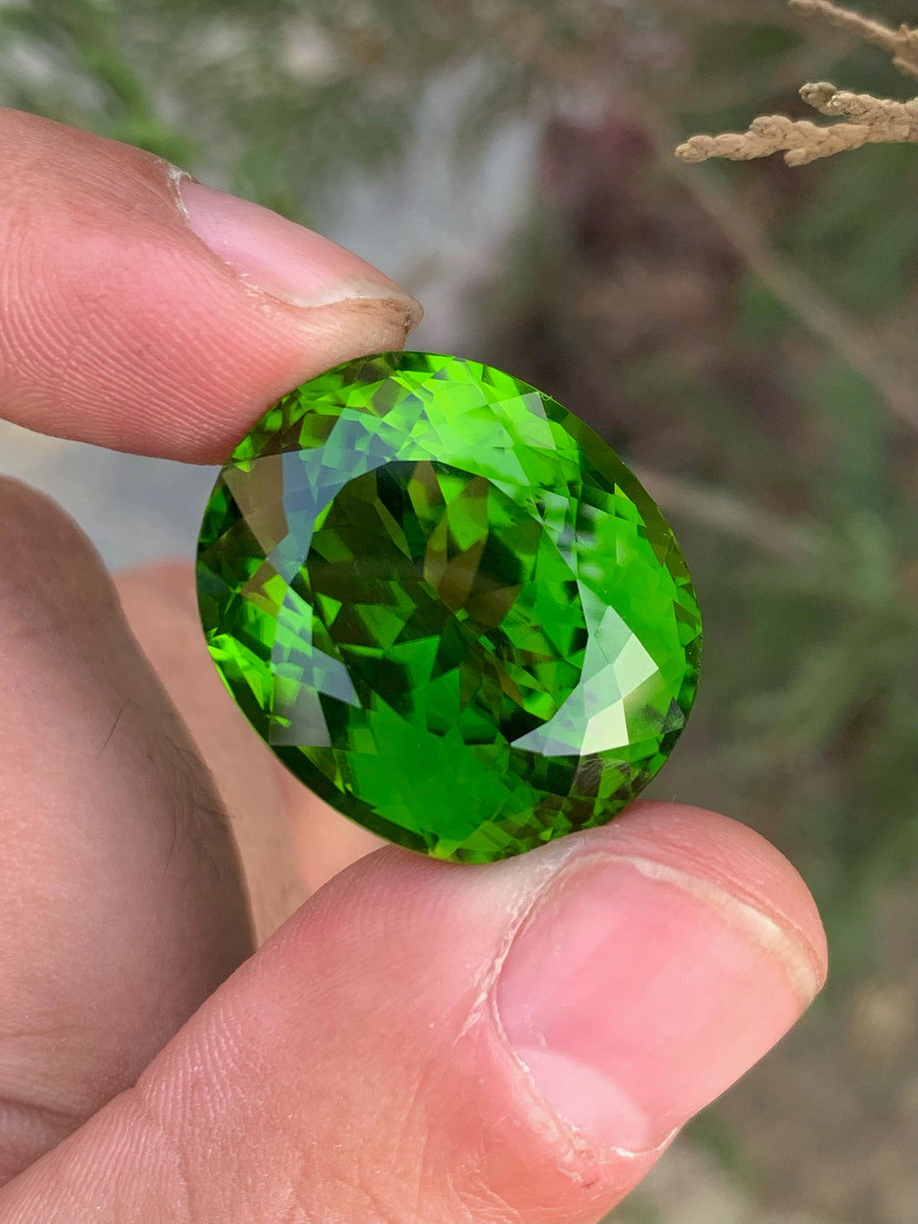 Lime Green Peridot Gemstone: 52.70 Carat Oval August Birthstone