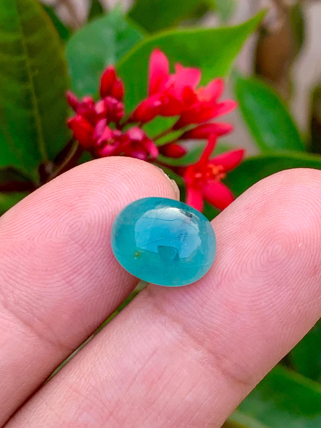 Grandidierite Cabochon: Rare Bluish-Green Gemstone from Madagascar (6.50 CT