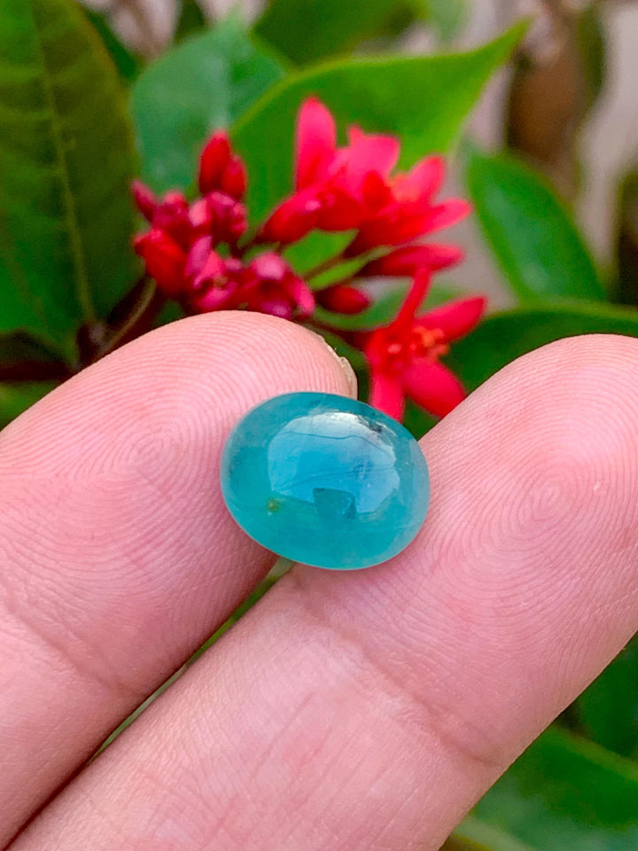 Grandidierite Cabochon: Rare Bluish-Green Gemstone from Madagascar (6.50 CT
