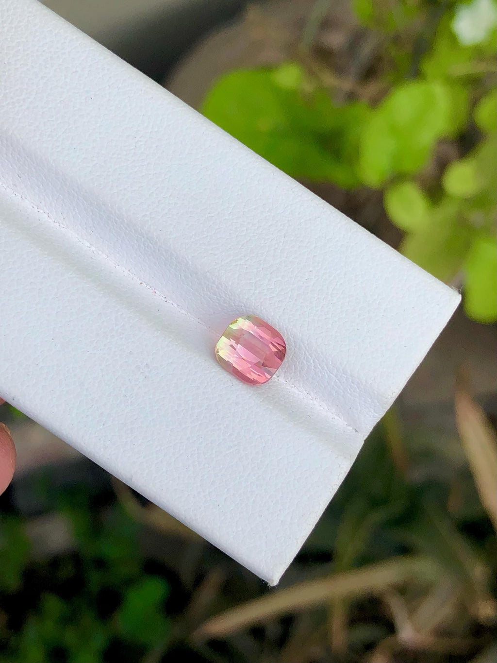 1.75 CT Bi-Color Tourmaline Gemstone: Cushion Cut, Flamingo Pink/Harvest Gold