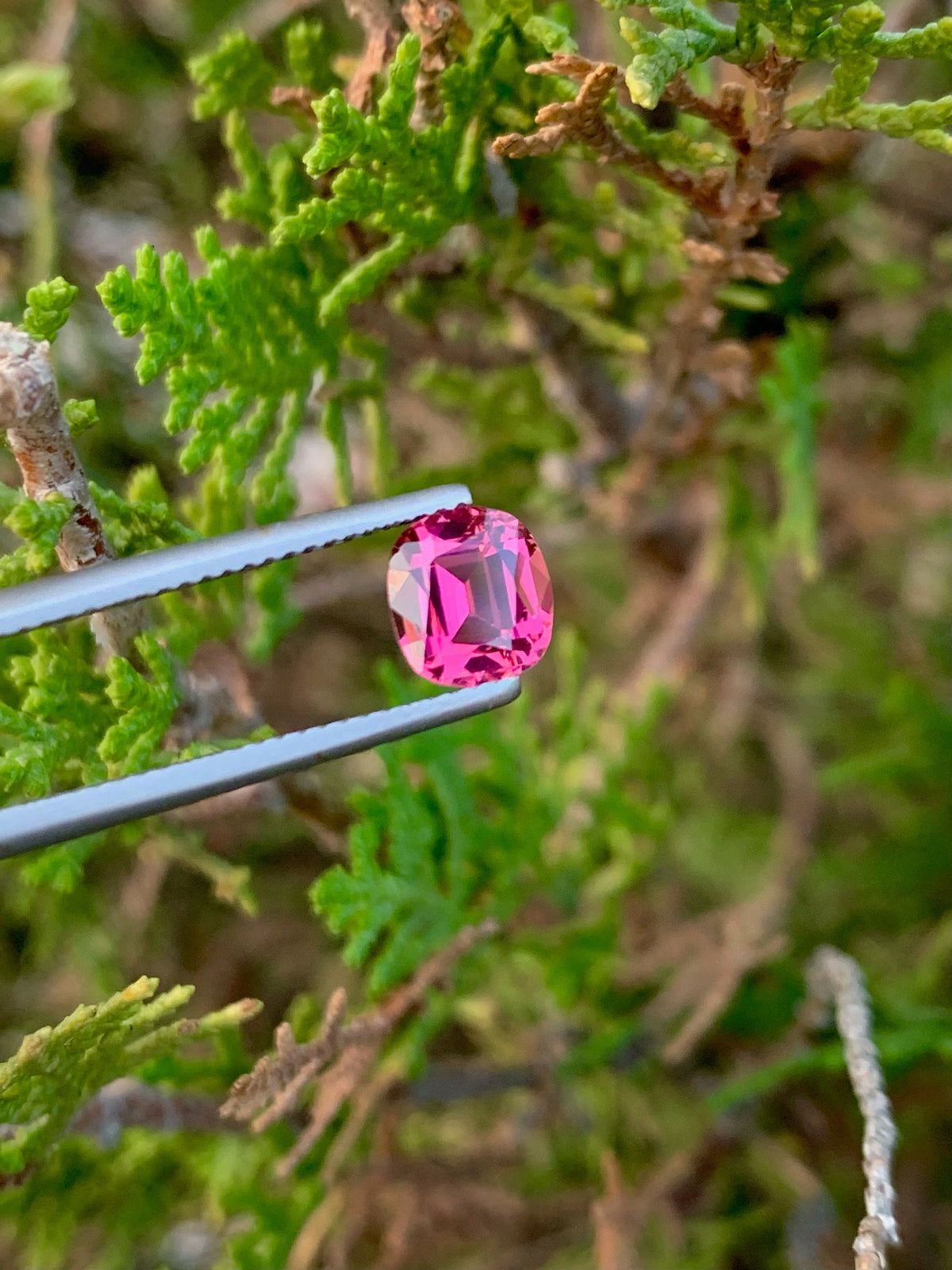 Pink Tourmaline Gemstone: 1.45 CT Cushion Cut, October Birthstone