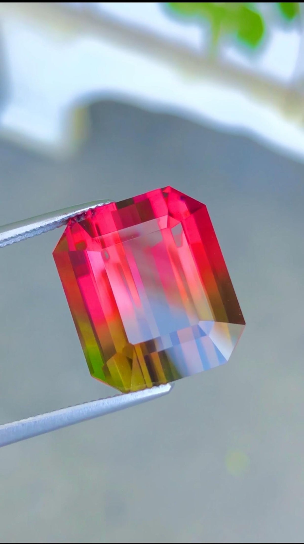 Unusual 14 Cts Watermelon Tourmaline,Red & Green No Heat Natural Gem