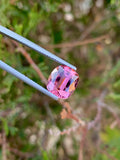 Faceted Pink Tourmaline Gemstone: Loose Cushion Cut, 3.30 CT