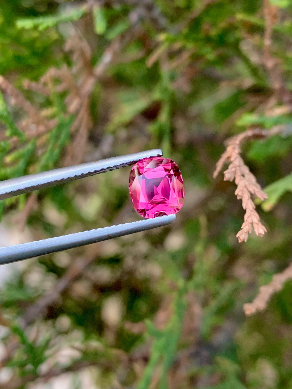 Natural Pink Tourmaline Gemstone: 2.00 CT Cushion Cut, Afghanistan Origin