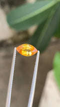 1.90 Carat Orange Sapphire: Marquise Cut Loose Gemstone from Sri Lanka