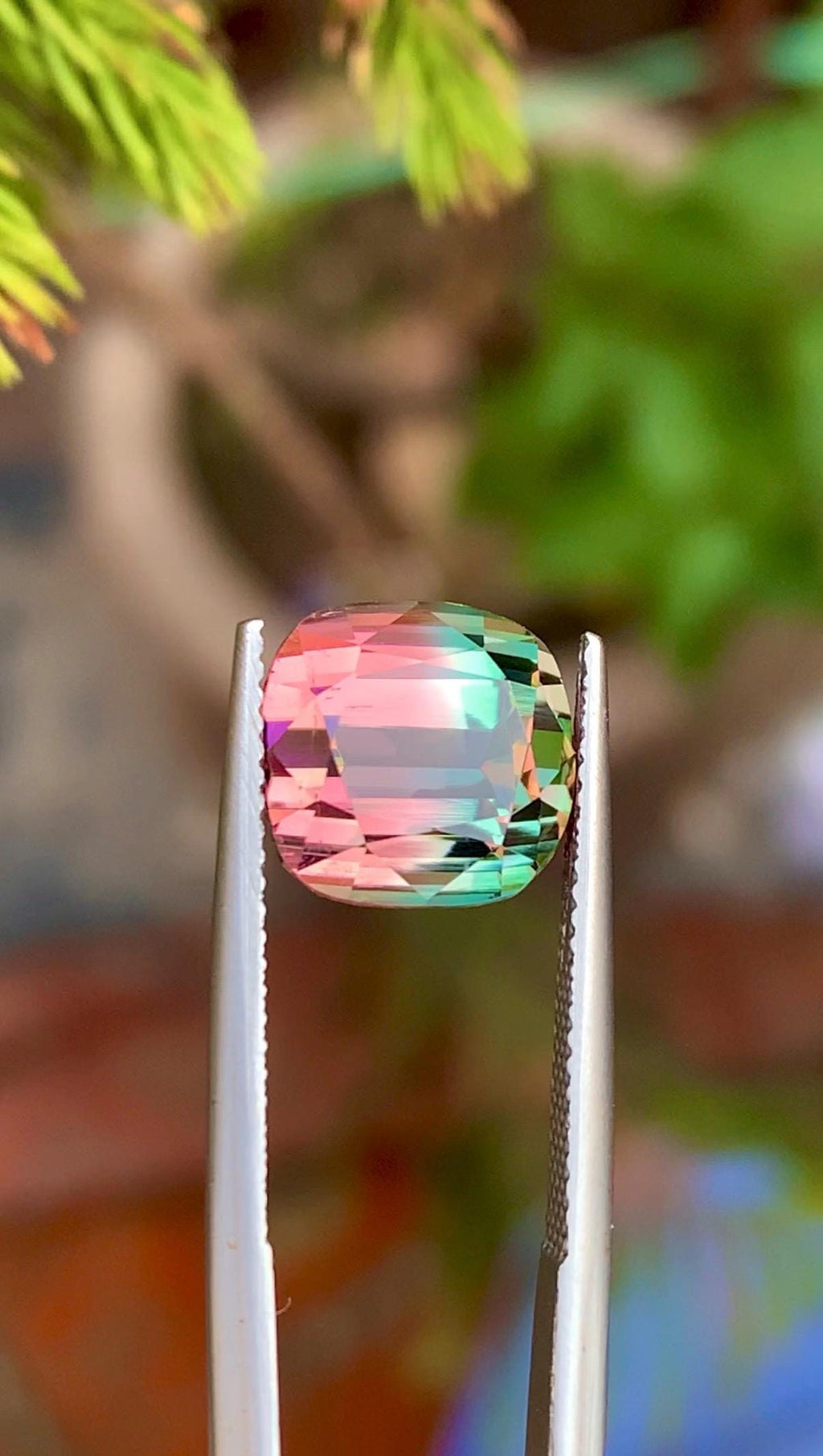 Bi-Color Tourmaline 7.65ct Cushion Cut Gemstone from Afghanistan – Pink & Green Zoning with Vibrant Luster