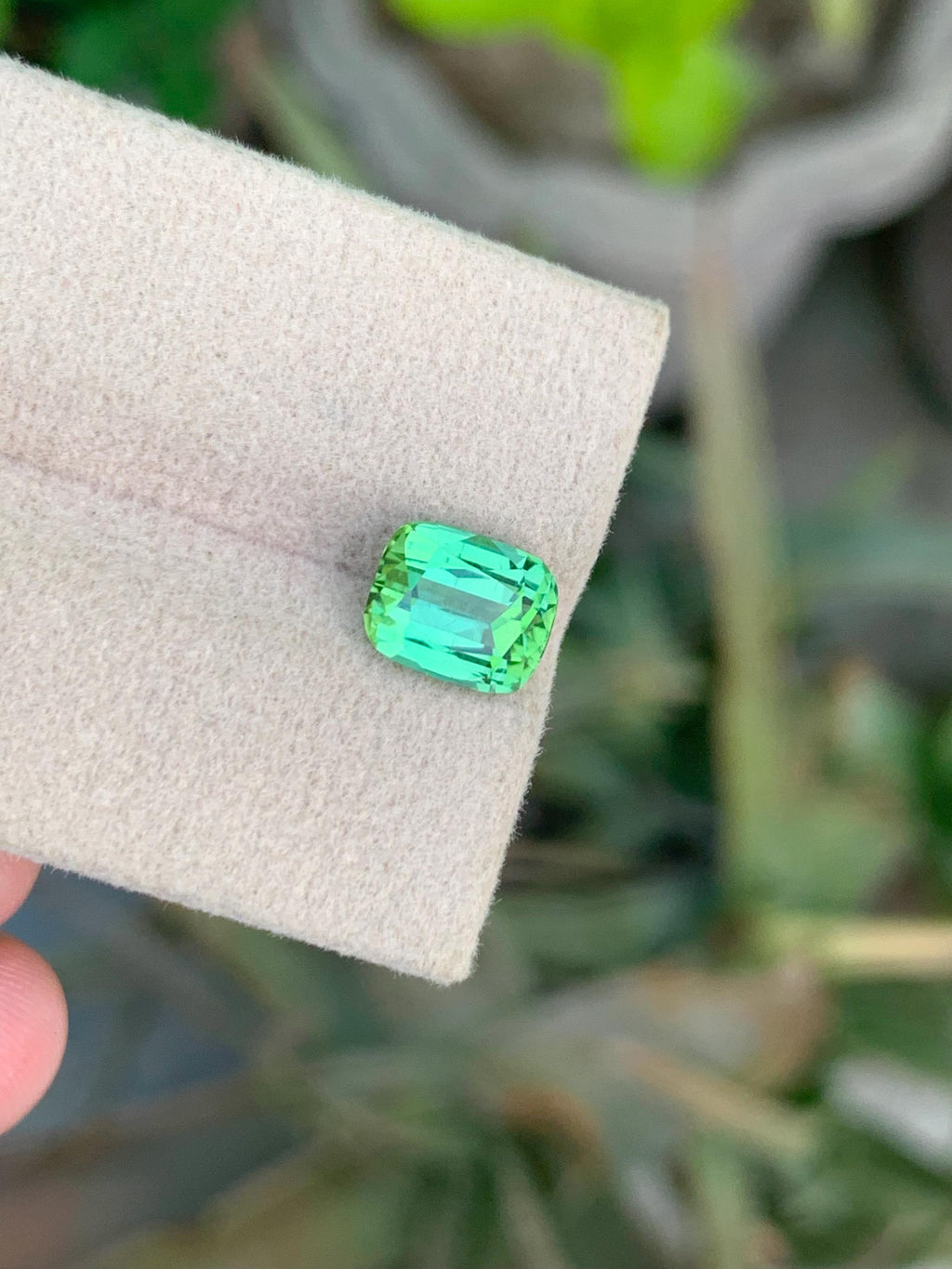 Bluish Green Tourmaline Gemstone: 2.50 CT Cushion Cut, Afghanistan