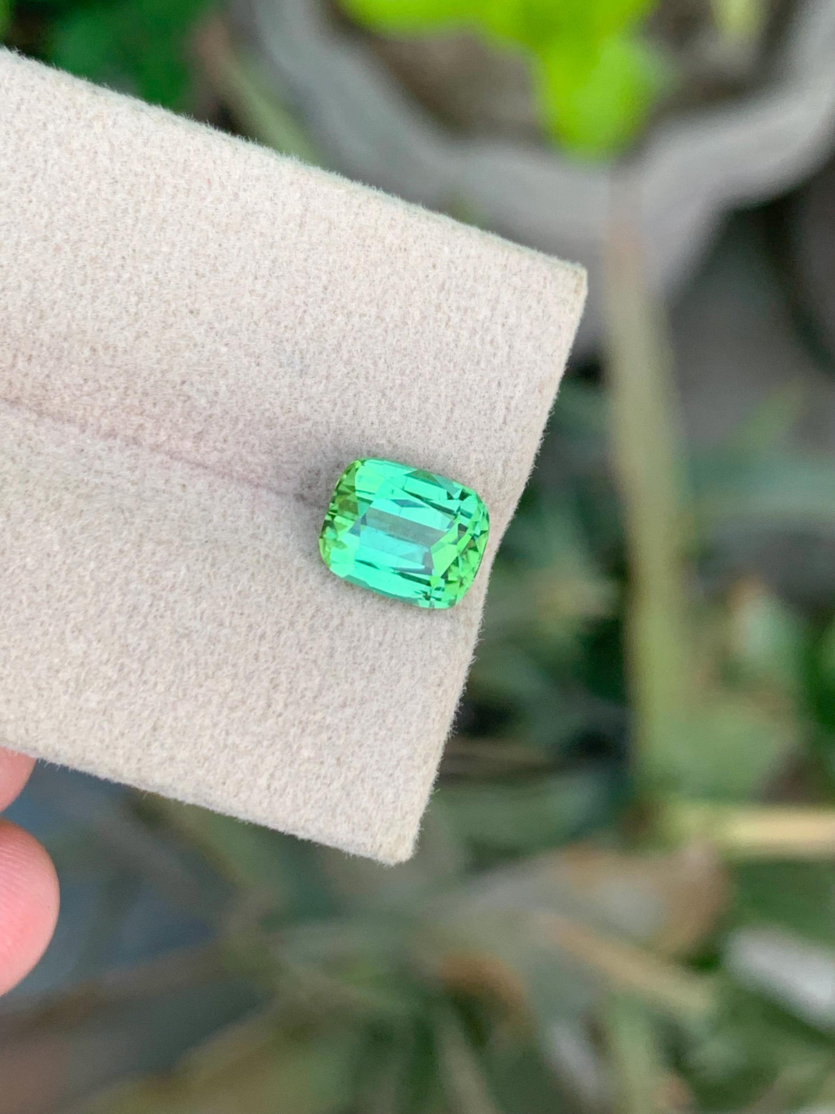 Bluish Green Tourmaline Gemstone: 2.50 CT Cushion Cut, Afghanistan