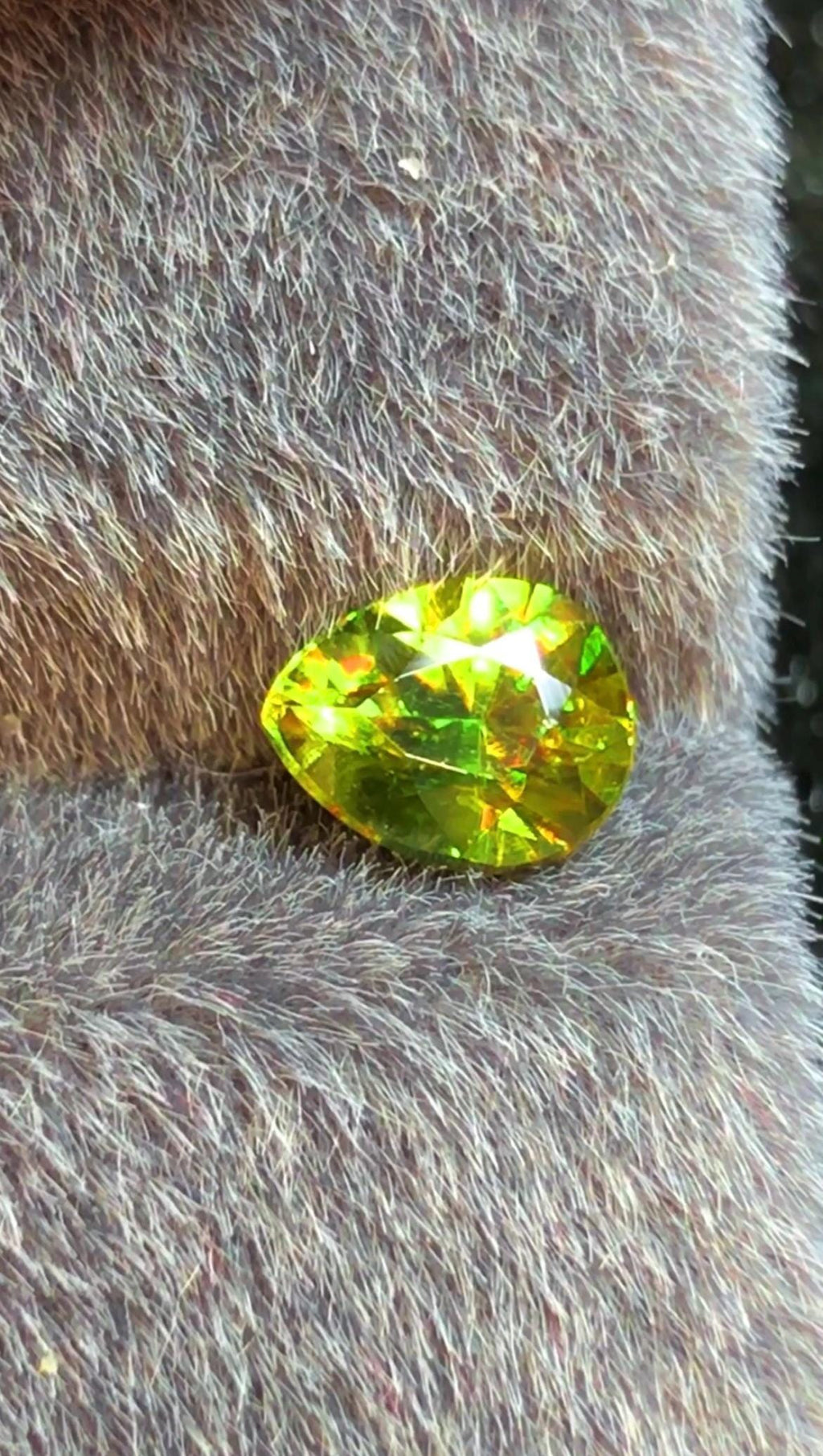 Pear Shape Sphene 0.80 CT Gemstone from Pakistan